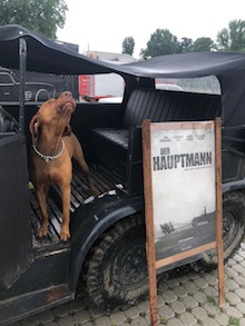 Oldtimer Treff 2019