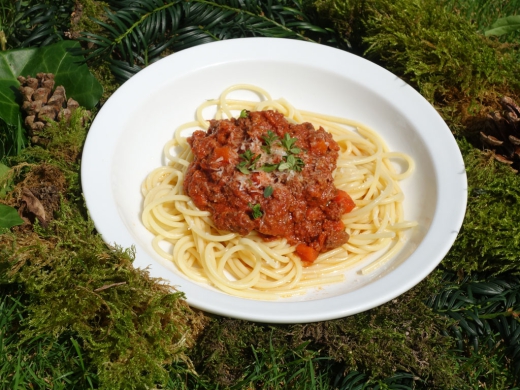 Wild Bolognese Fertiggericht 400g Dose