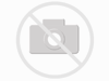 Wildschwein Schinkenwurst 200g Dose